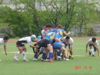 rugby_2011.0514_004.JPG