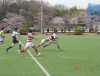 rugby_20110403_009.JPG
