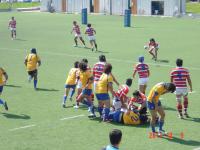 rugby_20111009_004.JPG