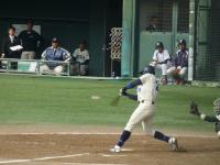 baseball20131107-4.JPG