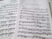 orchestra20140220.jpg