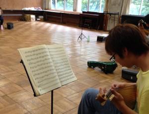 mandolin20150704-08.JPG