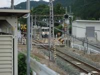 DSC01693.jpg