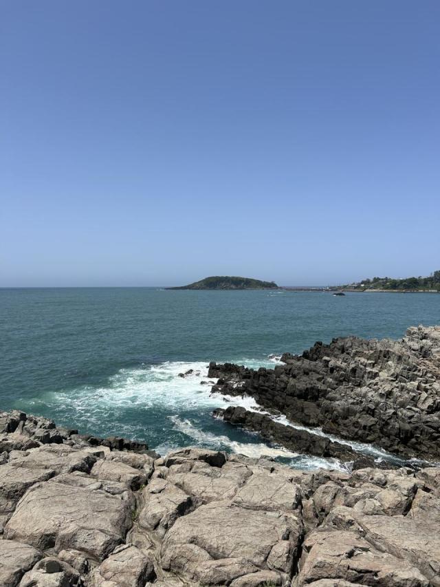 S__180477958_0.jpg