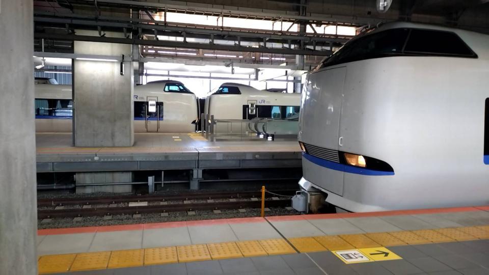 26097.jpg