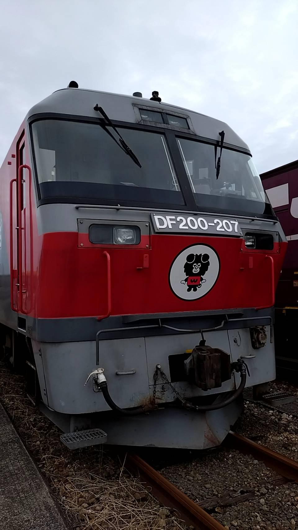 18753.jpg